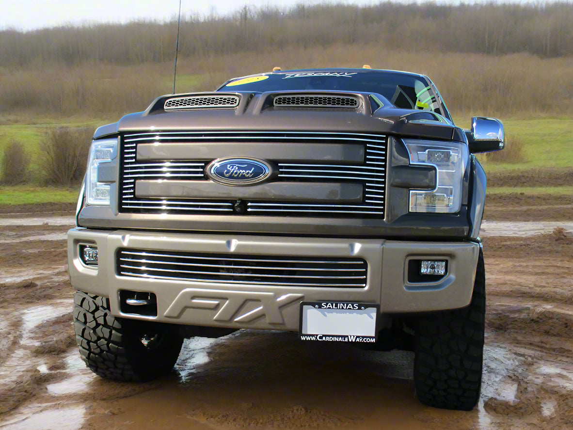 SAVE YOUR BUMPER | STO N SHO for 2015 Ford F-150 FTX – stonsho