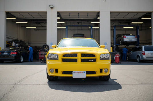 2006-2010 Dodge Charger Super Bee/SRT 8