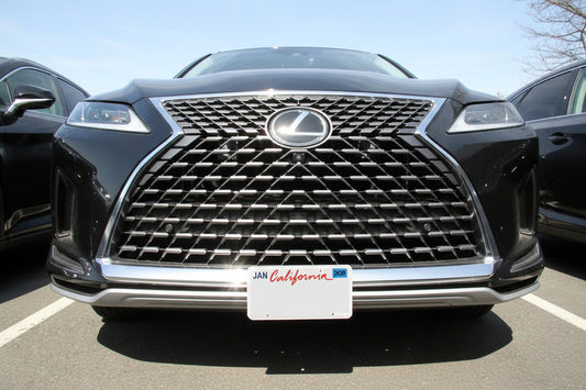 2020 Lexus RX 350/450h