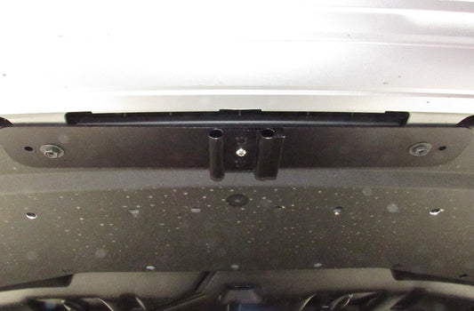 2020 Lexus RX 350/450h